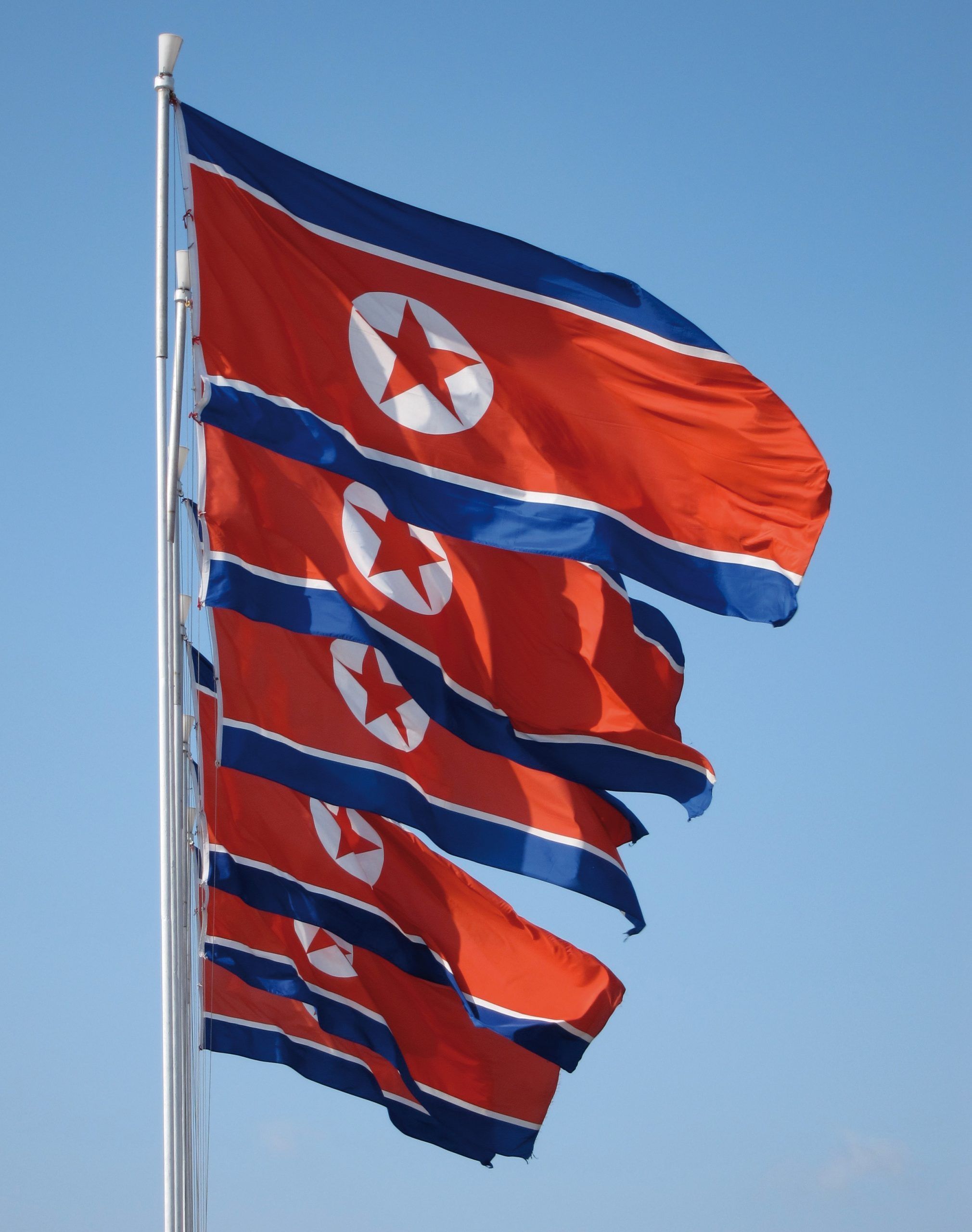 North Korea flags (picture - Wikicommons: John Pavelka)