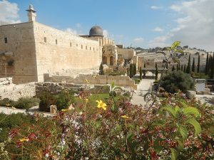 MOUNTING TENSION: Competing claims to an historic part of Jerusalem set the scene for Armageddon1