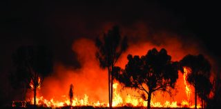 Australian bush fires Australian bush fires