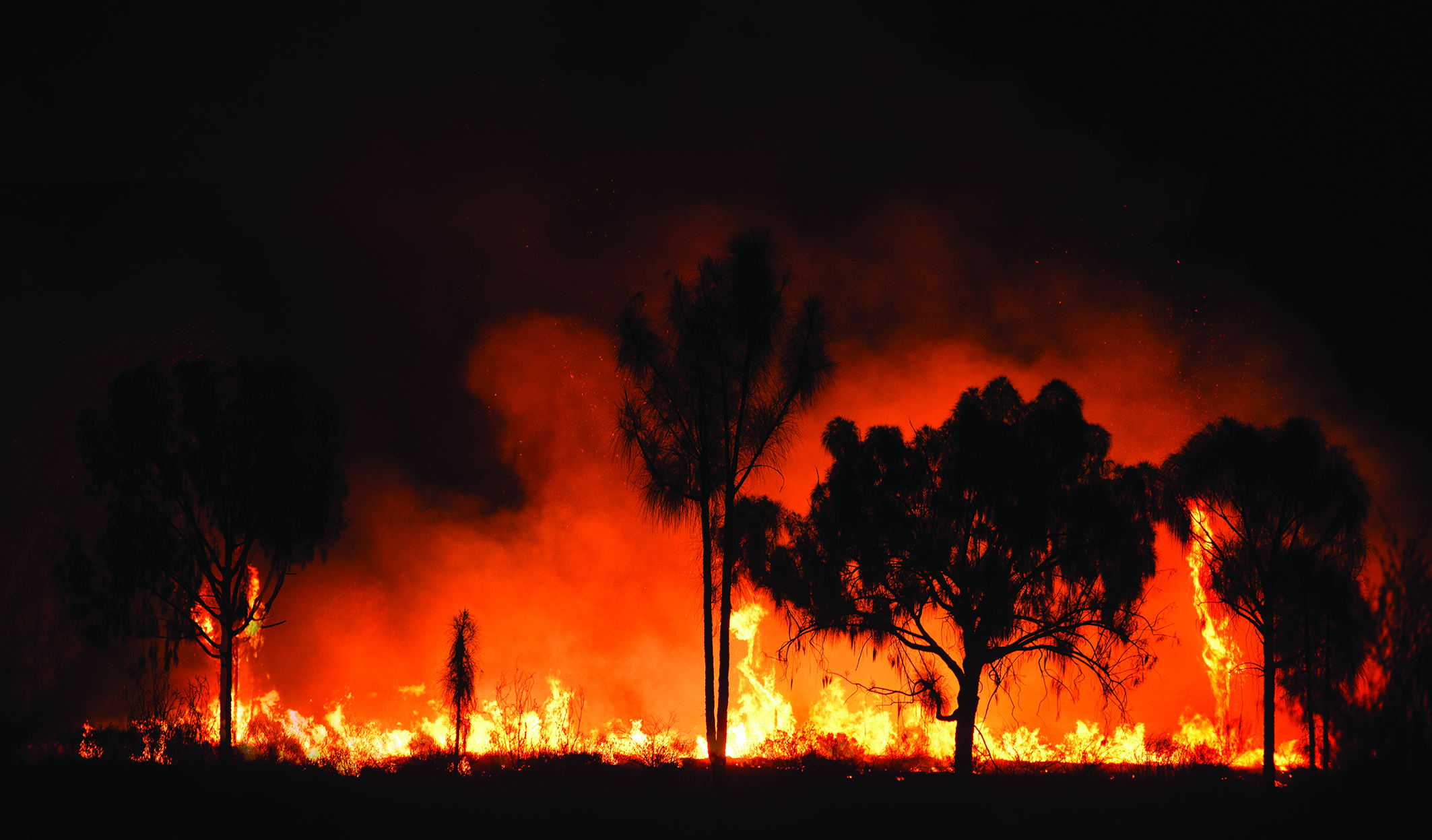 Australian bush fires