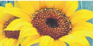 For my neighbour – you are not forgotten!
