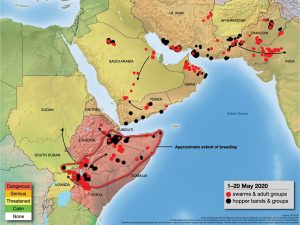 The UN's map showing location of locust swarms