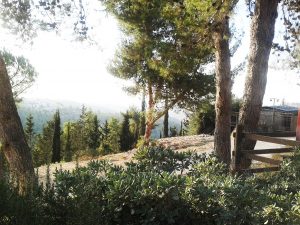 A peaceful hideaway in the Judean hills, near the Valley of Elah