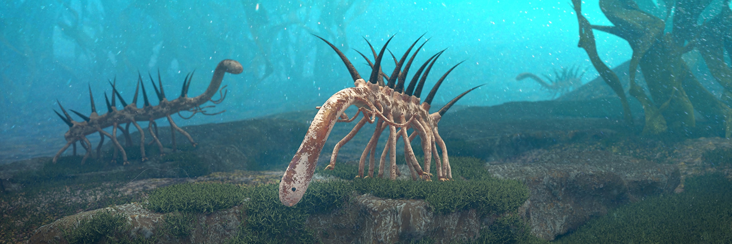 The spiky 14-legged Hallucigenia 