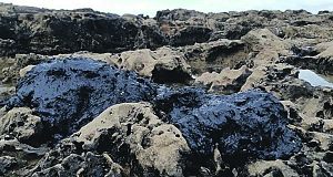 Oil washed up on Israel’s coastline