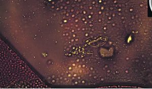 Injected proof - Dr PvW - no 6