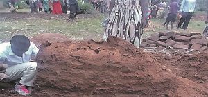 The ant mound where body of Saban Sajabi was found in Kabula 