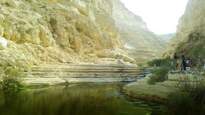 The King is coming: “A voice of one calling: In the wilderness prepare the way for the Lord; make straight in the desert a highway for our God” (Isaiah 40:3). A tranquil scene in Israel’s Negev desert
