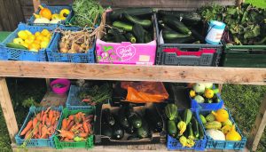 The stall of free vegetables