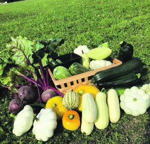 The abundant harvest