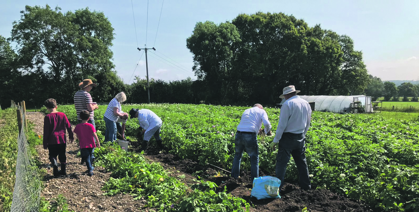 Church members working in the field