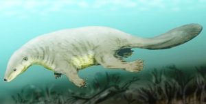 The oldest fossil mammal, the beaver-like Castorocauda