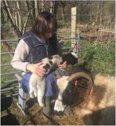 A volunteer holding a two-day-old lamb